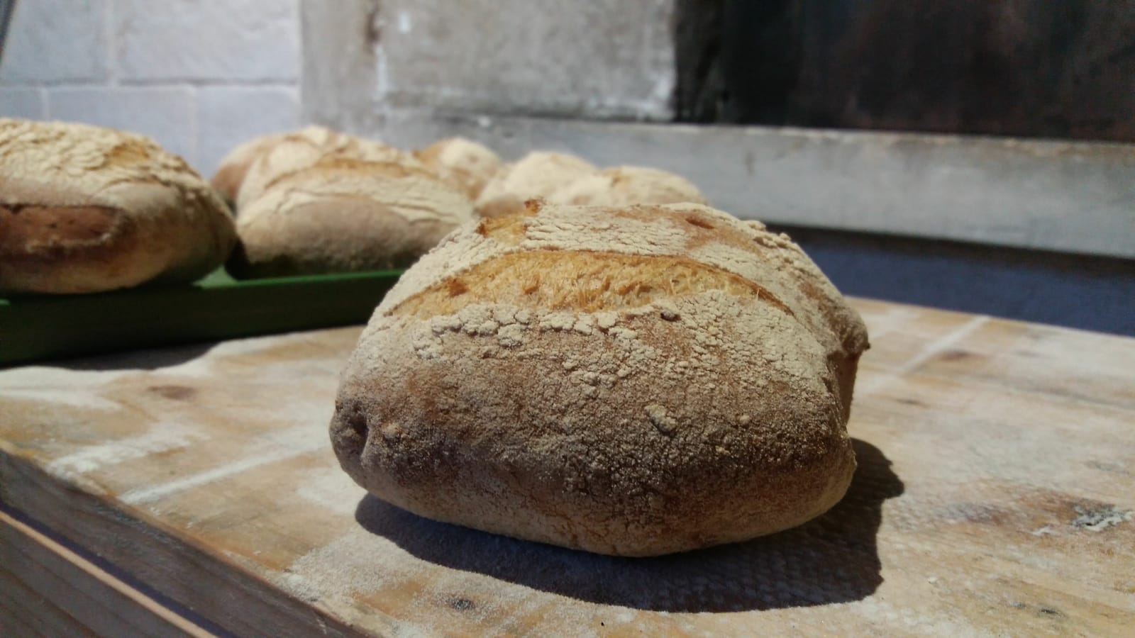 Pane Casereccio - Farro e Noci